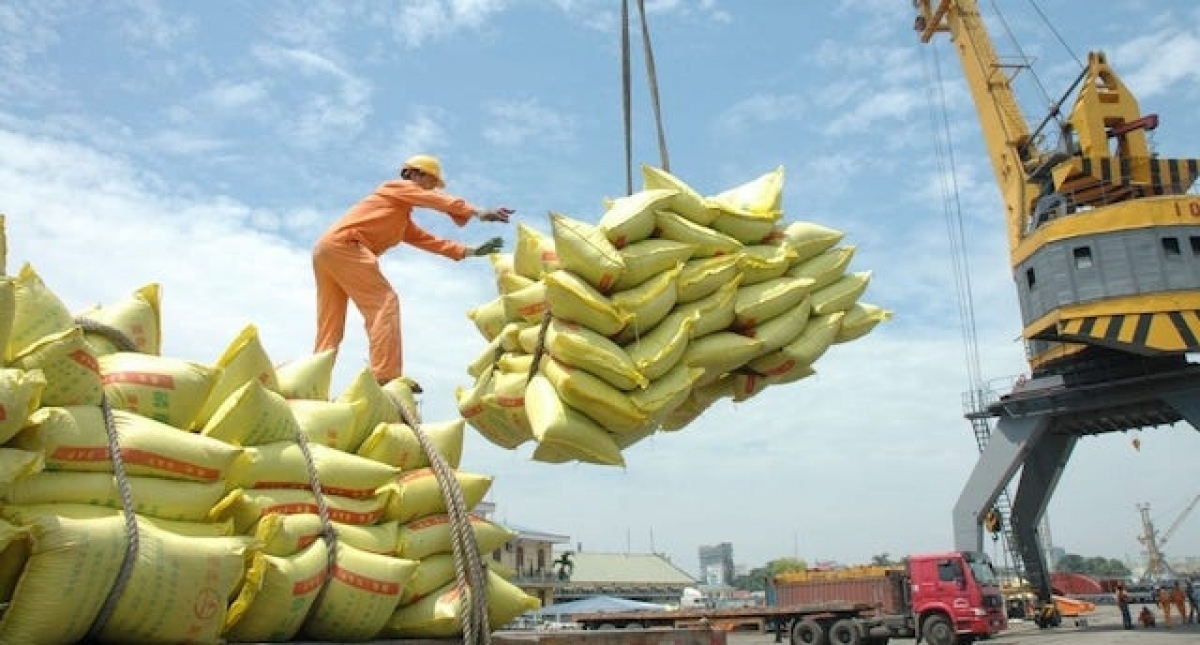 Vietnamese rice enjoy strong sells to EU market
